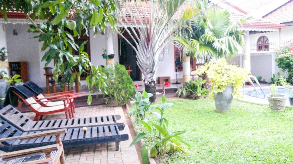 Serendib Guest House نيجومبو المظهر الخارجي الصورة
