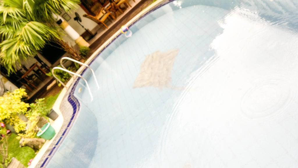 Serendib Guest House نيجومبو المظهر الخارجي الصورة