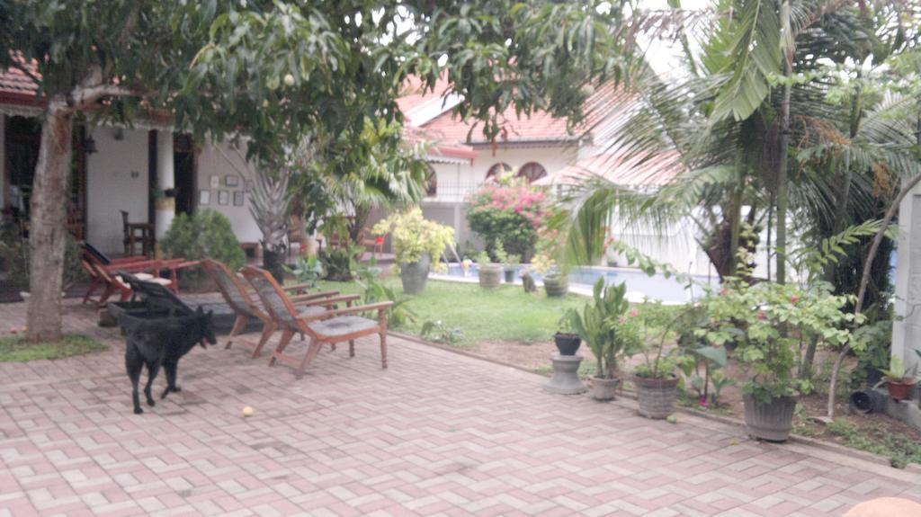 Serendib Guest House نيجومبو المظهر الخارجي الصورة